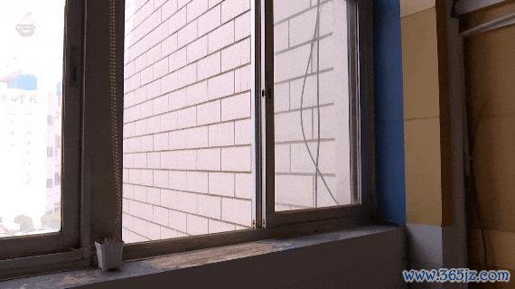 男人食用见手青后翻出27楼窗户往下爬 中毒激发幻觉险酿悲催