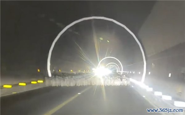交警复兴简易撞倒29只羊负全责 牧谈通行规矩需尊重