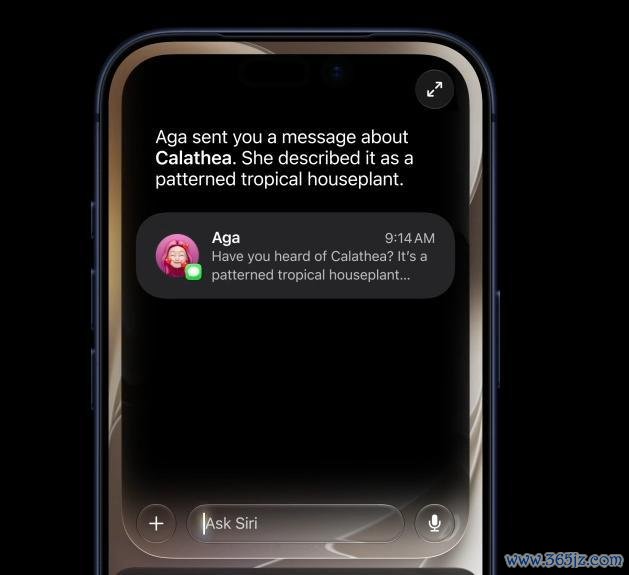 iOS27体验 Siri变身AI聊天机器东谈主