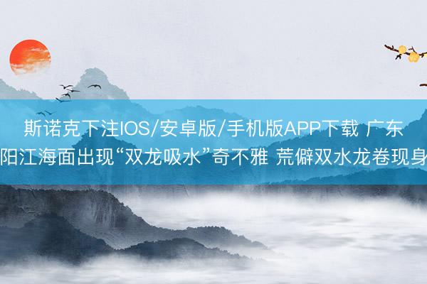 斯诺克下注IOS/安卓版/手机版APP下载 广东阳江海面出现“双龙吸水”奇不雅 荒僻双水龙卷现身