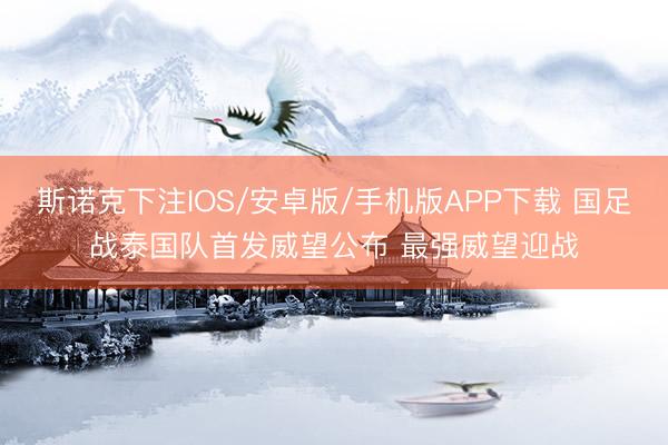 斯诺克下注IOS/安卓版/手机版APP下载 国足战泰国队首发威望公布 最强威望迎战
