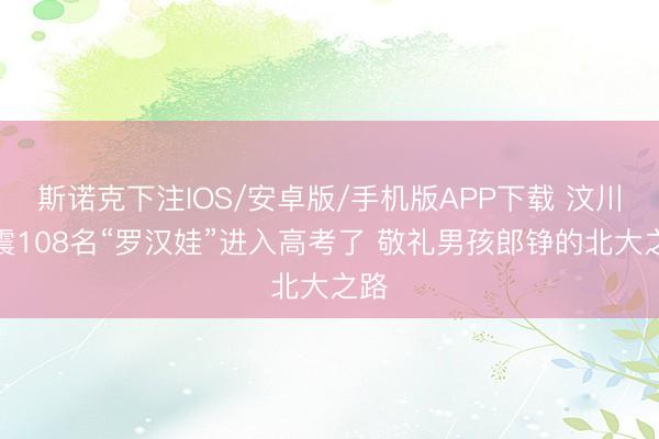 斯诺克下注IOS/安卓版/手机版APP下载 汶川地震108名“罗汉娃”进入高考了 敬礼男孩郎铮的北大之路
