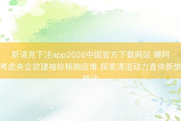 斯诺克下注app2026中国官方下载网站 曝阿里考虑央企欲建袖珍核响应堆 探索清洁动力直供新旅途