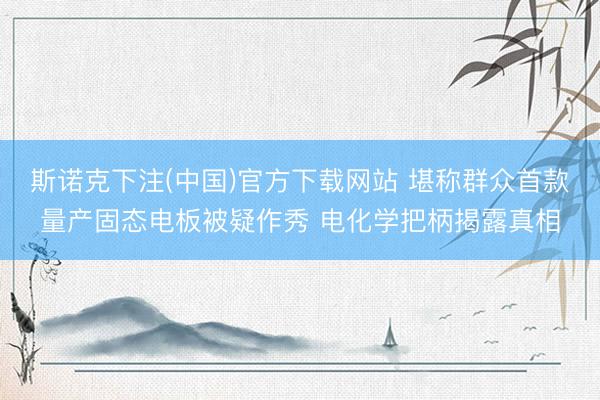 斯诺克下注(中国)官方下载网站 堪称群众首款量产固态电板被疑作秀 电化学把柄揭露真相