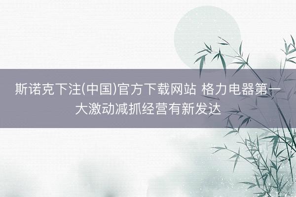 斯诺克下注(中国)官方下载网站 格力电器第一大激动减抓经营有新发达