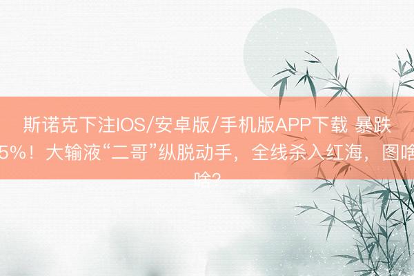 斯诺克下注IOS/安卓版/手机版APP下载 暴跌55%！大输液“二哥”纵脱动手，全线杀入红海，图啥？