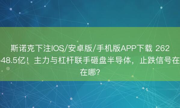 斯诺克下注IOS/安卓版/手机版APP下载 262亿+48.5亿！主力与杠杆联手砸盘半导体，止跌信号在哪？