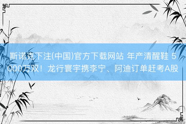 斯诺克下注(中国)官方下载网站 年产清醒鞋 5000万双！龙行寰宇携李宁、阿迪订单赶考A股