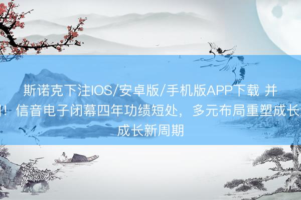 斯诺克下注IOS/安卓版/手机版APP下载 并购解围！信音电子闭幕四年功绩短处，多元布局重塑成长新周期