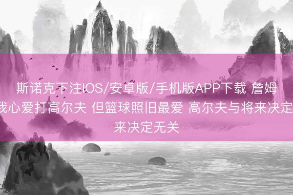 斯诺克下注IOS/安卓版/手机版APP下载 詹姆斯: 我心爱打高尔夫 但篮球照旧最爱 高尔夫与将来决定无关