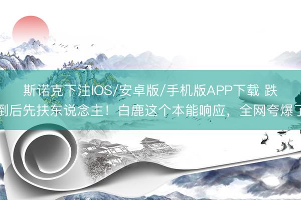 斯诺克下注IOS/安卓版/手机版APP下载 跌倒后先扶东说念主!白鹿这个本能响应,全网夸爆了