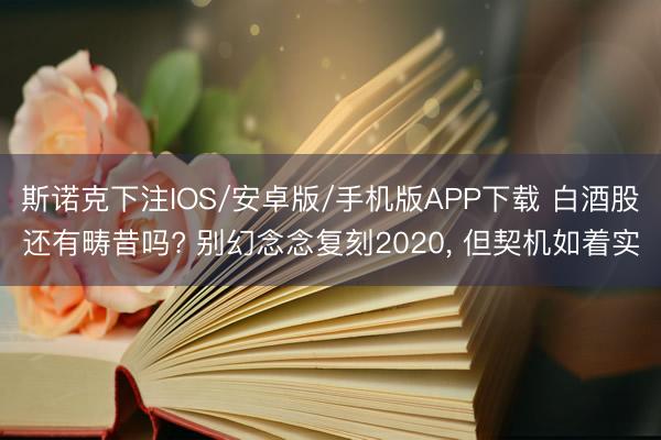 斯诺克下注IOS/安卓版/手机版APP下载 白酒股还有畴昔吗? 别幻念念复刻2020， 但契机如着实
