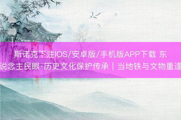 斯诺克下注IOS/安卓版/手机版APP下载 东说念主民眼·历史文化保护传承｜当地铁与文物重逢