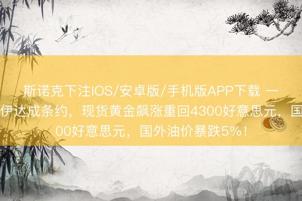 斯诺克下注IOS/安卓版/手机版APP下载 一醒悟来！好意思伊达成条约，现货黄金飙涨重回4300好意思元，国外油价暴跌5%！