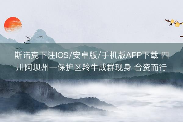 斯诺克下注IOS/安卓版/手机版APP下载 四川阿坝州一保护区羚牛成群现身 合资而行